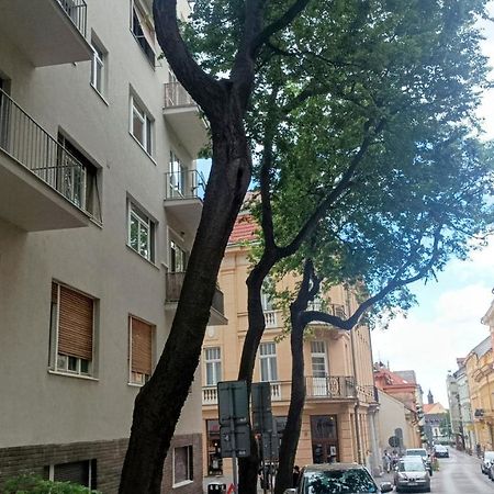 Nice Flat Under The Castle براتسيلافا المظهر الخارجي الصورة