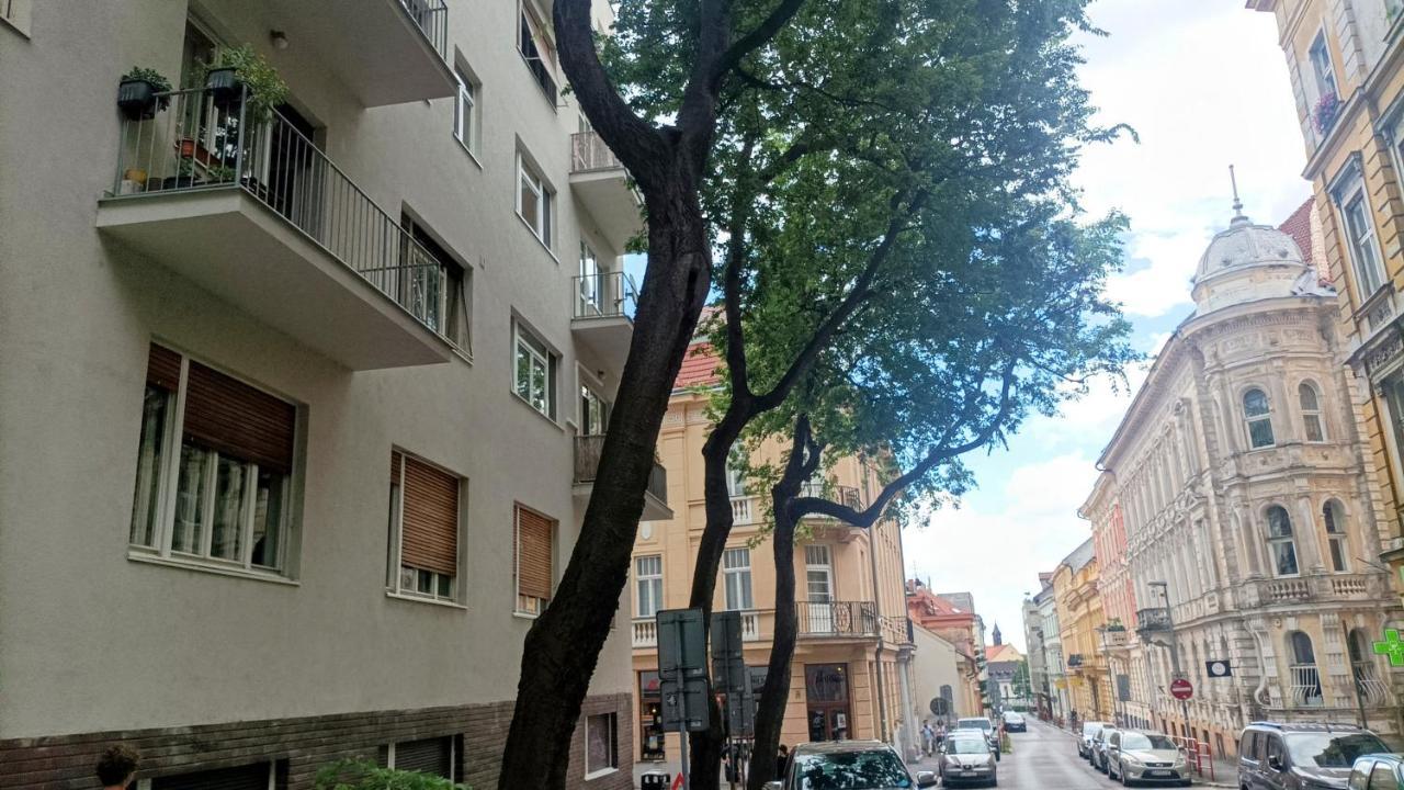 Nice Flat Under The Castle براتسيلافا المظهر الخارجي الصورة